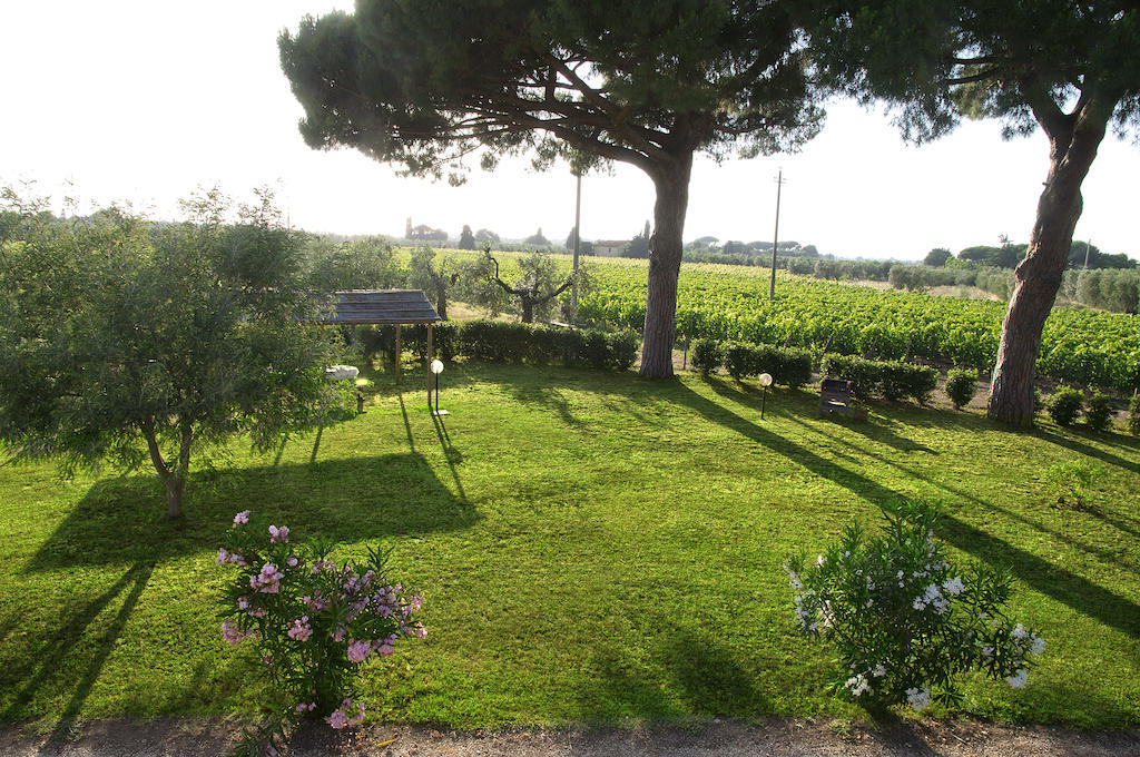 Agriturismo Quattro Pini Castagneto Carducci Oda fotoğraf