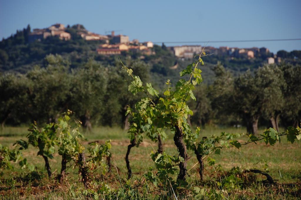 Agriturismo Quattro Pini Castagneto Carducci Dış mekan fotoğraf