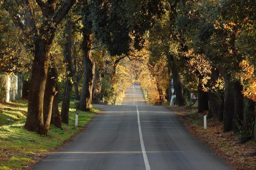 Agriturismo Quattro Pini Castagneto Carducci Dış mekan fotoğraf