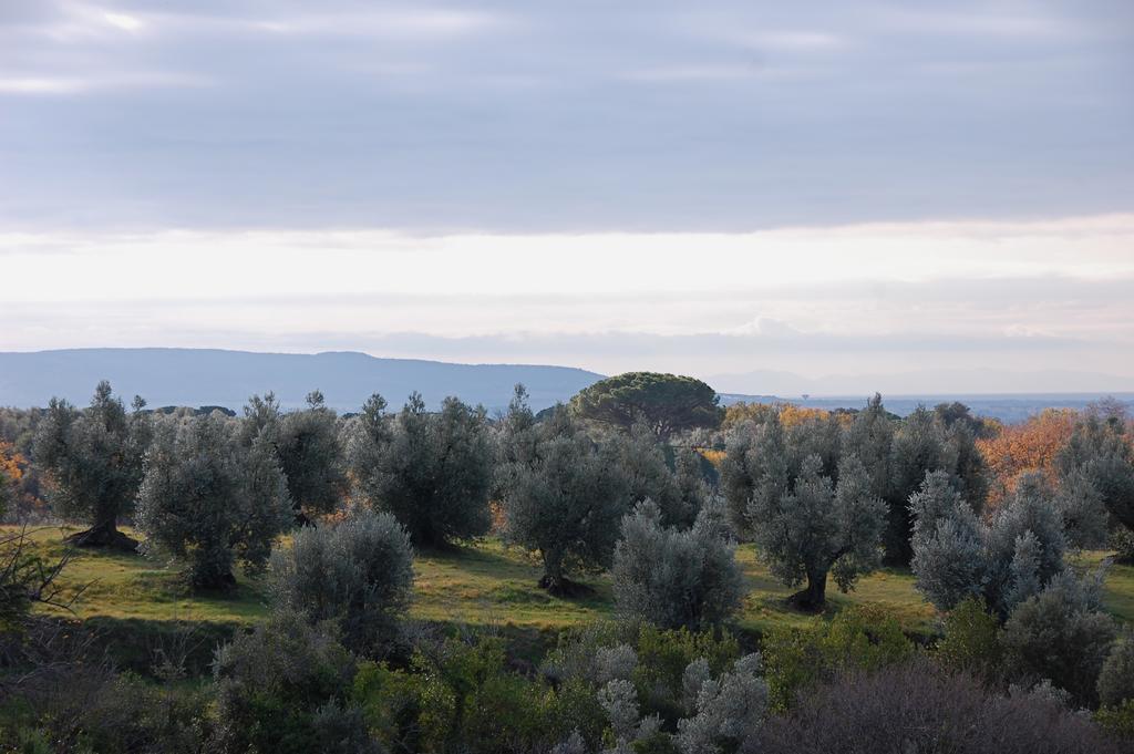 Agriturismo Quattro Pini Castagneto Carducci Dış mekan fotoğraf