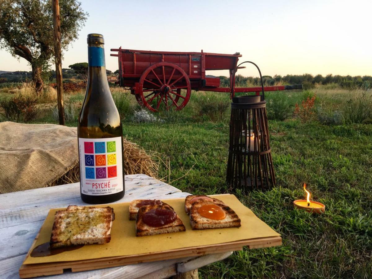 Agriturismo Quattro Pini Castagneto Carducci Dış mekan fotoğraf