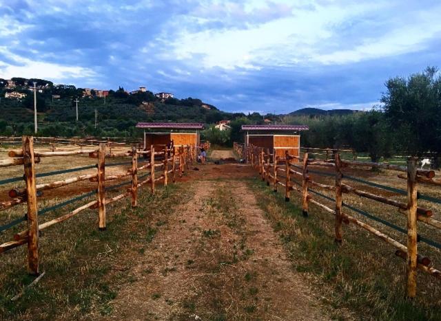 Agriturismo Quattro Pini Castagneto Carducci Dış mekan fotoğraf